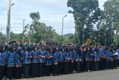 Pemkab Kepahiang Minta Solusi BKN, Masih Banyak Honorer Dalam Pangkalan Database BKN!