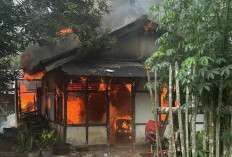 Rumah Warga Desa Kelilik Dilalap Si Jago Merah, Kerugian Ditaksir Rp300 Juta