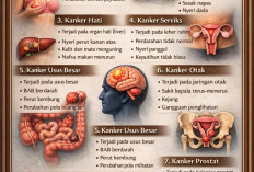 Mengenal Berbagai Jenis Kanker pada Manusia: Organ yang Sering Terkena dan Gejalanya
