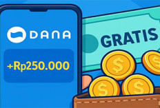 Dompet Digitalmu Akan Membengkak, Main 5 Aplikasi Penghasil Uang Saldo DANA Ini