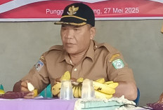 Pemberian PMT Bagi Balita di Posyandu Desa Pungguk Beringang