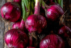 Manfaat Bawang Merah yang Sayang Kalau Dilewatkan