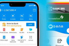 Dibayar ke Dompet Digital, Ini 8 Game Penghasil Saldo DANA Terpopuler Terbukti Membayar