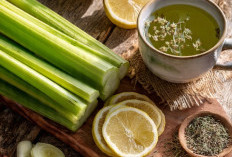 Turunkan Tekanan Darah Tinggi Secara Alami: Ini 4 Resep Herbal Rumahan yang Wajib Dicoba 