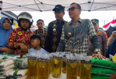 Pascalebaran Harga Bapokting Stabil di Kepahiang, Telur Masih Tinggi!