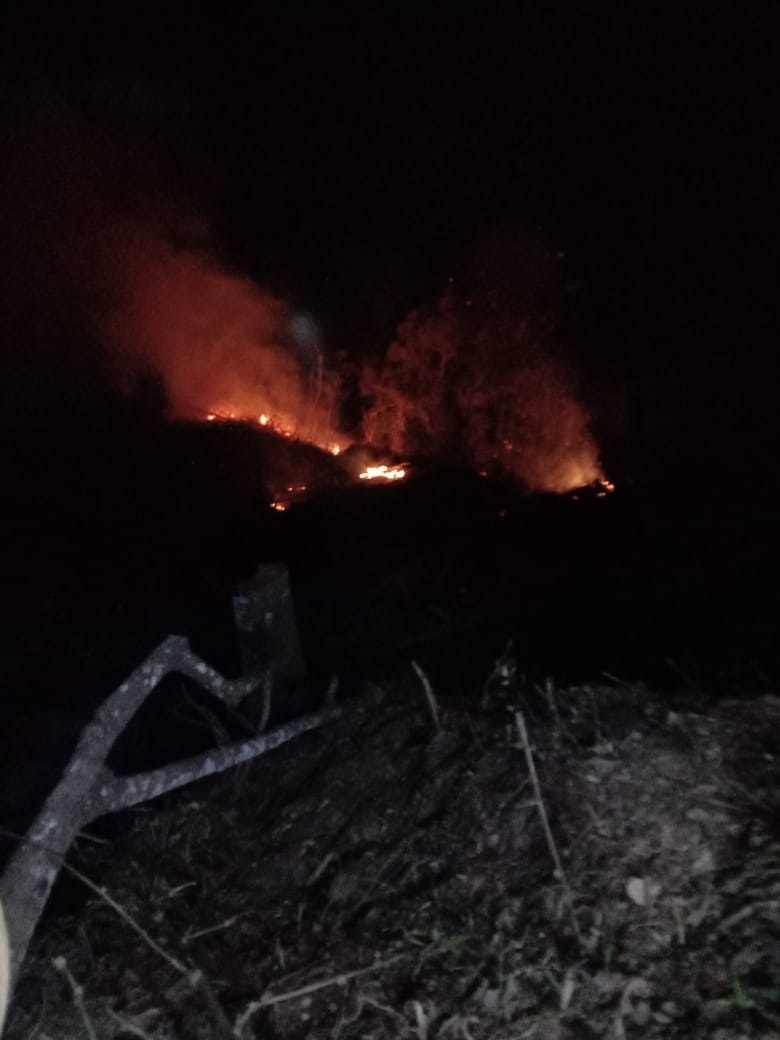 Sekitar 1 Hektar Areal Hutan di Gunung Terbakar