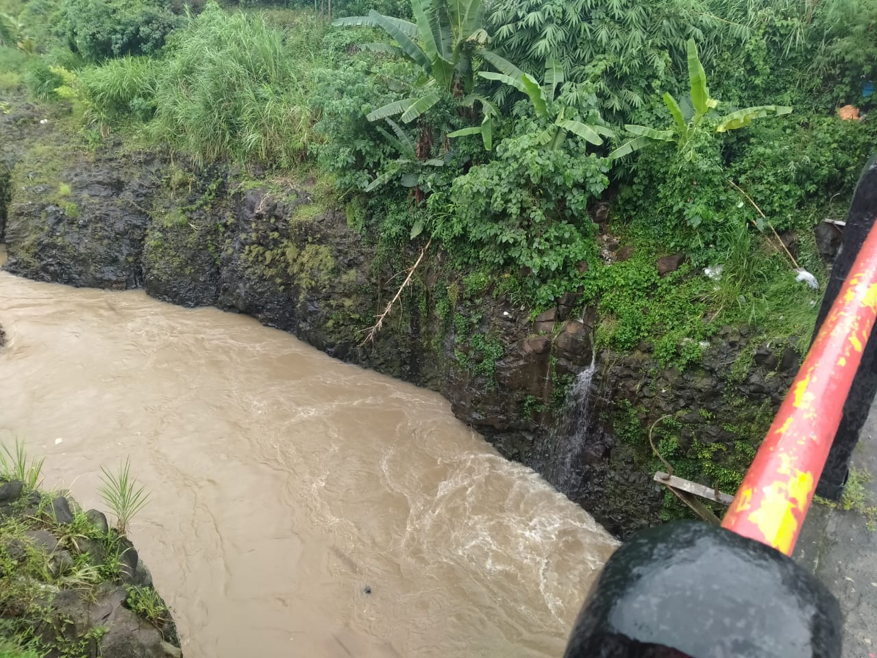 Diguyur Hujan Sejak Pagi, Sungai Musi Kepahiang Mulai Naik