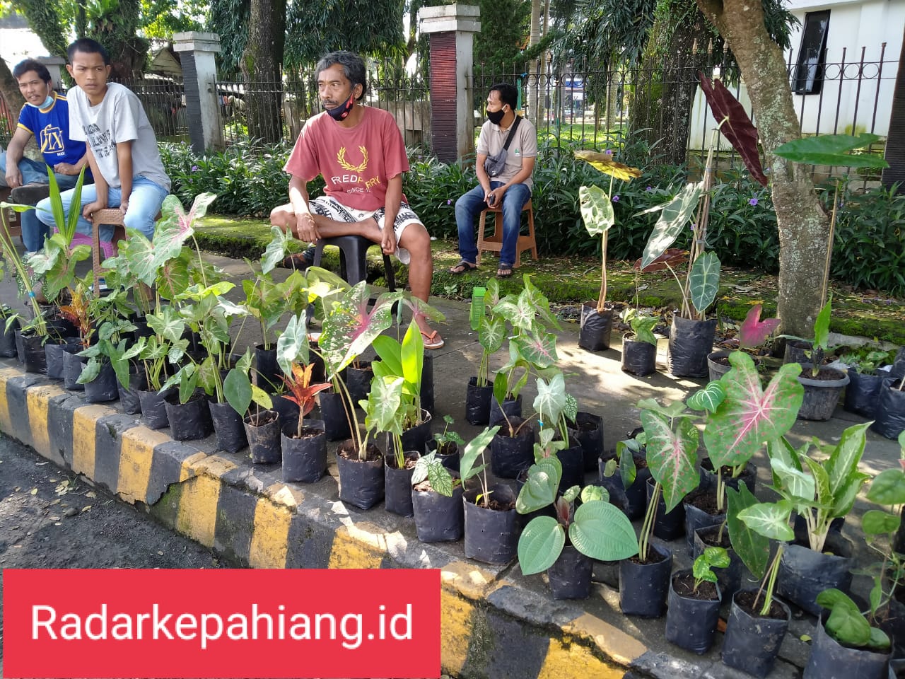 Raup Keuntungan Hingga Rp 200 Ribu Sehari Dari Jual Bunga