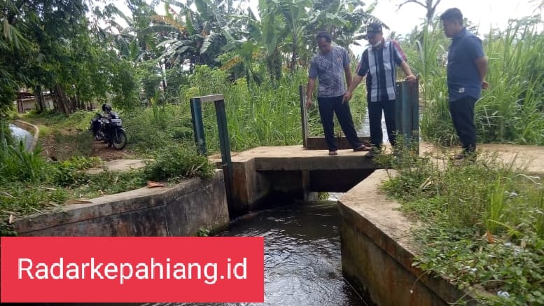 Buruknya Irigasi Menyulitkan Petani Sawah Suka Merindu