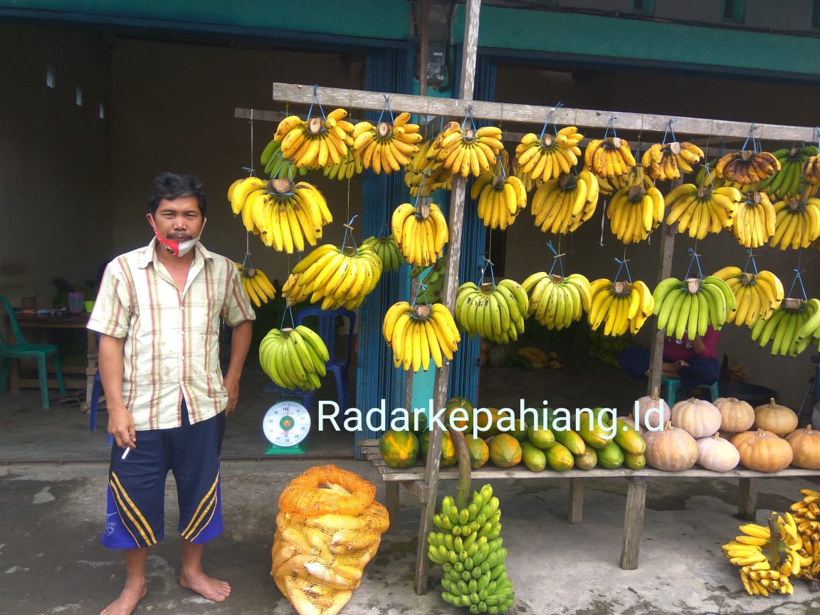 Karena Pandemi Covid-19, Pedagang Pisang Banyak Melamun