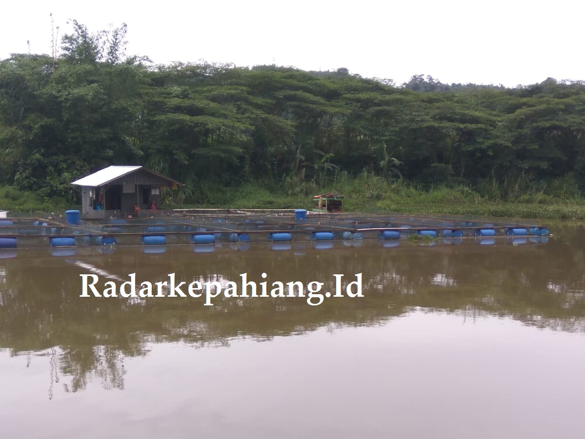 Bukan Hanya Jadi Objek Wisata, Danau Suro Juga Tempat Keramba Ikan