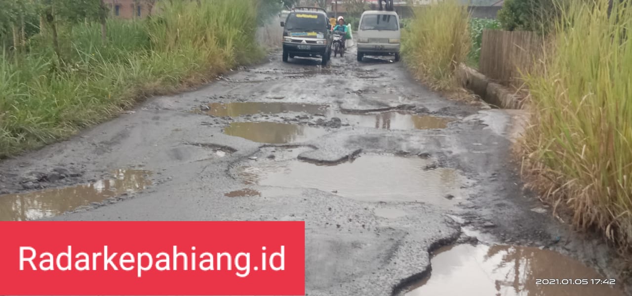 Warga Lubuk Penyamun Minta Jalan Rusak Segera Diperbaiki