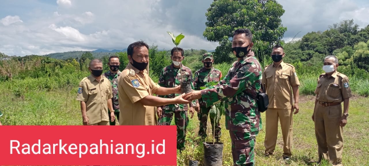 Peduli Lingkungan, Koramil BI dan Pemerintah Kecamatan Bermani Ilir Laksanakan Reboisasi