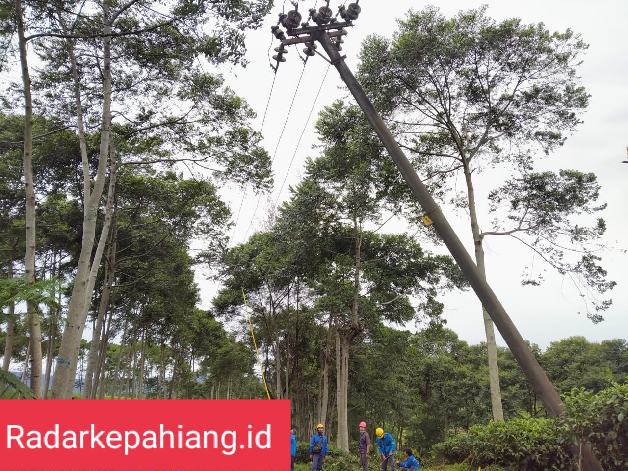 Pohon Tumbang, Jaringan Listrik Wilayah Kabawetan Terganggu