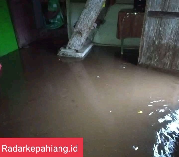 Rumah Warga Desa Ujan Mas Bawah Terendam Banjir