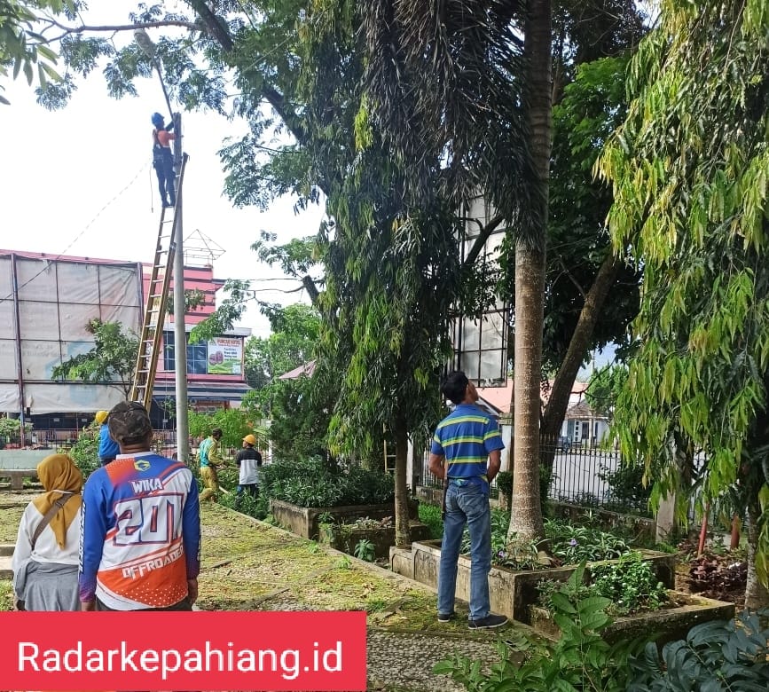 PLN ULP Kepahiang Jadwalkan 2 Kecamatan Terdampak Pemeliharaan Jaringan