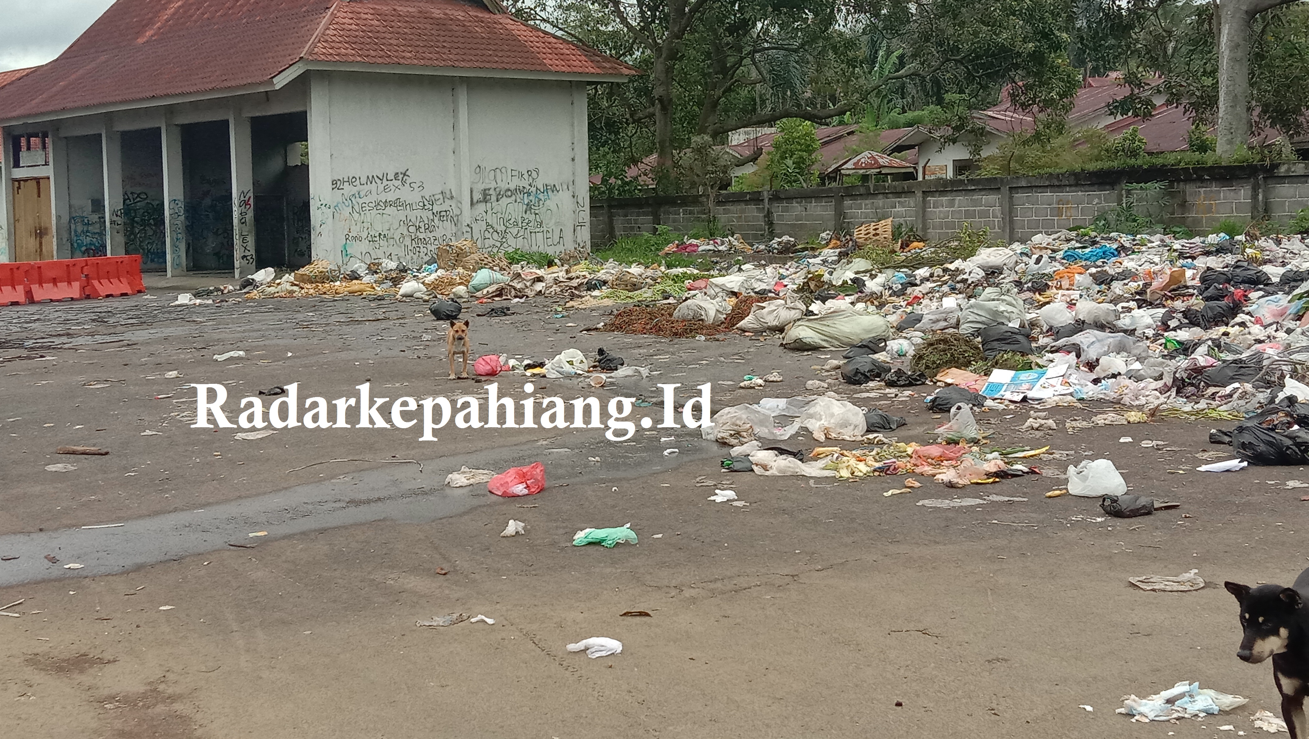 Sampah Berserakan di Terminal Simpang Nangka