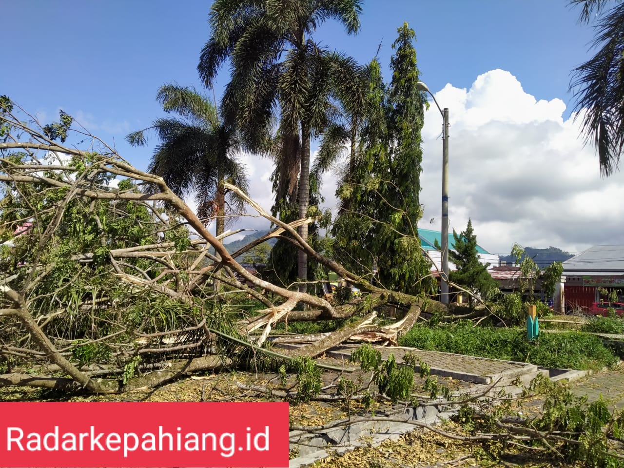 Pemotongan Pohon Menimpa Pagar Taman Hingga Ambruk, Ini Penjelasan Disparpora