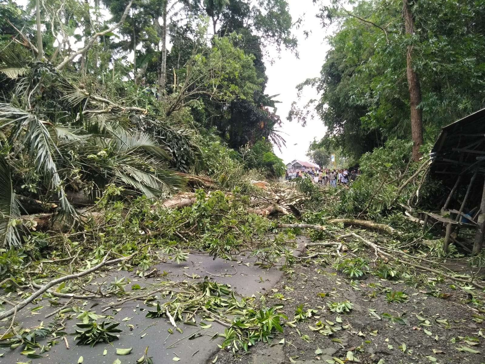 Ingat Jalan Lintas Kepahiang – Benteng Ditutup Sementara