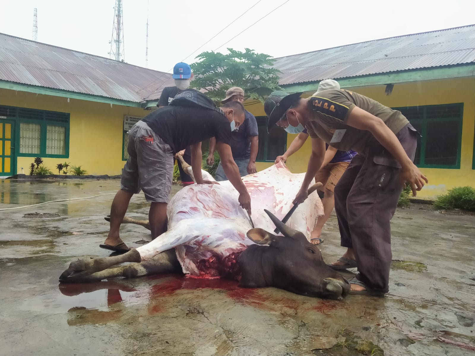 Utamakan Prokes, Masjid Taqwa Muhammadiyah Sembelih 5 Ekor Hewan Kurban