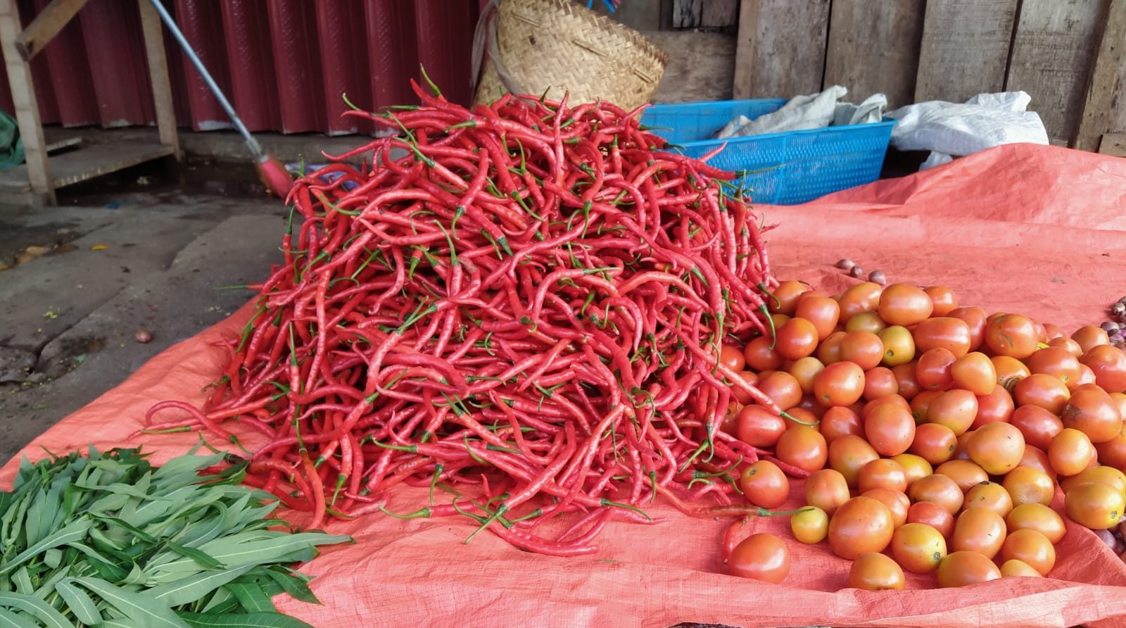 Cabai Merah Merangkak Naik