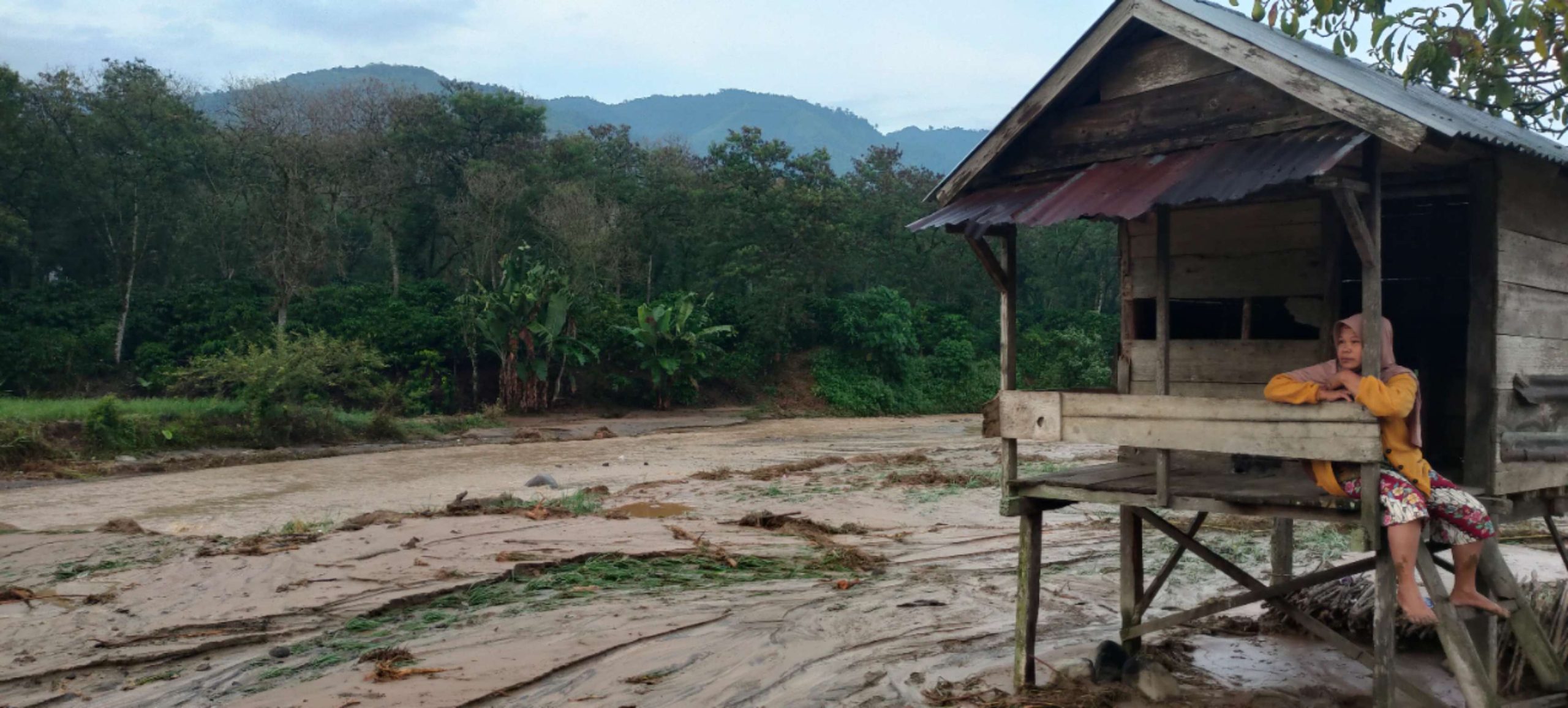 Banjir Bandang, Warga Menangis Meratapi Puluhan Hektar Sawah Dilalap Air