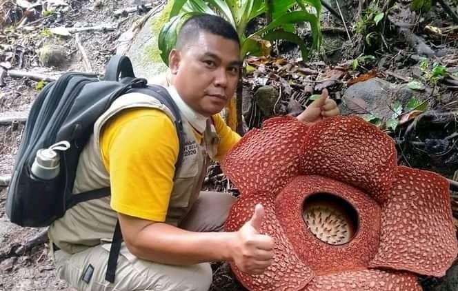 Wakili Kepahiang Dalam Gerak Pena Kemendikbud RI