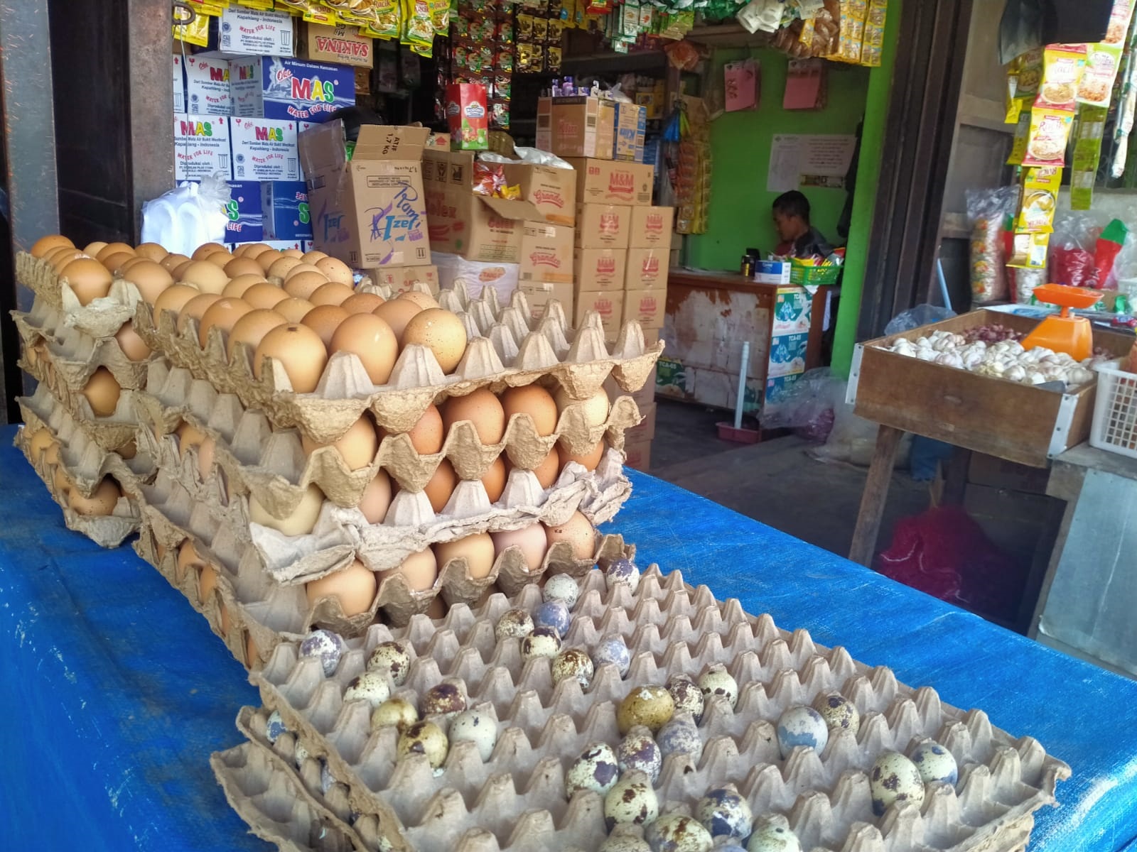 Telur Ayam Sentuh Rp 50 Ribu Per Karpet