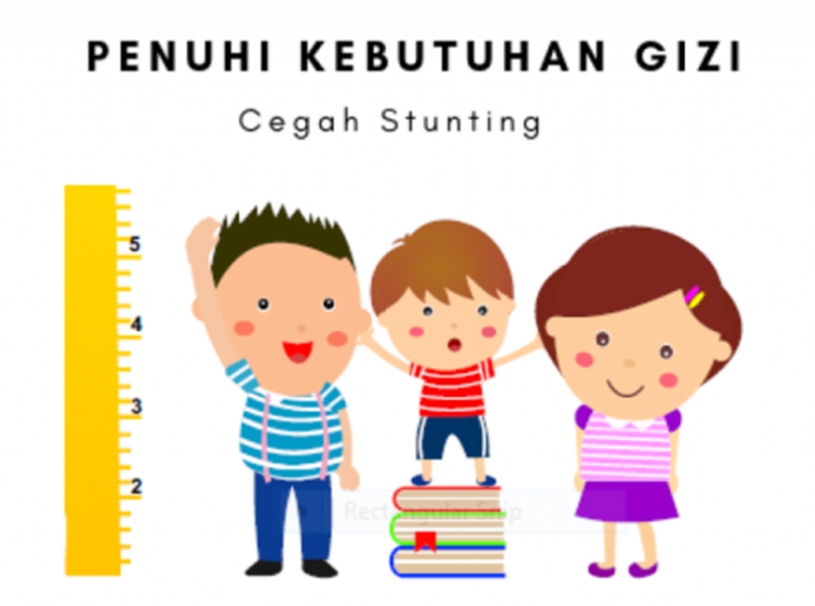 Cegah Stunting DP3APPKB Minta Kader TPK Berperan Aktif