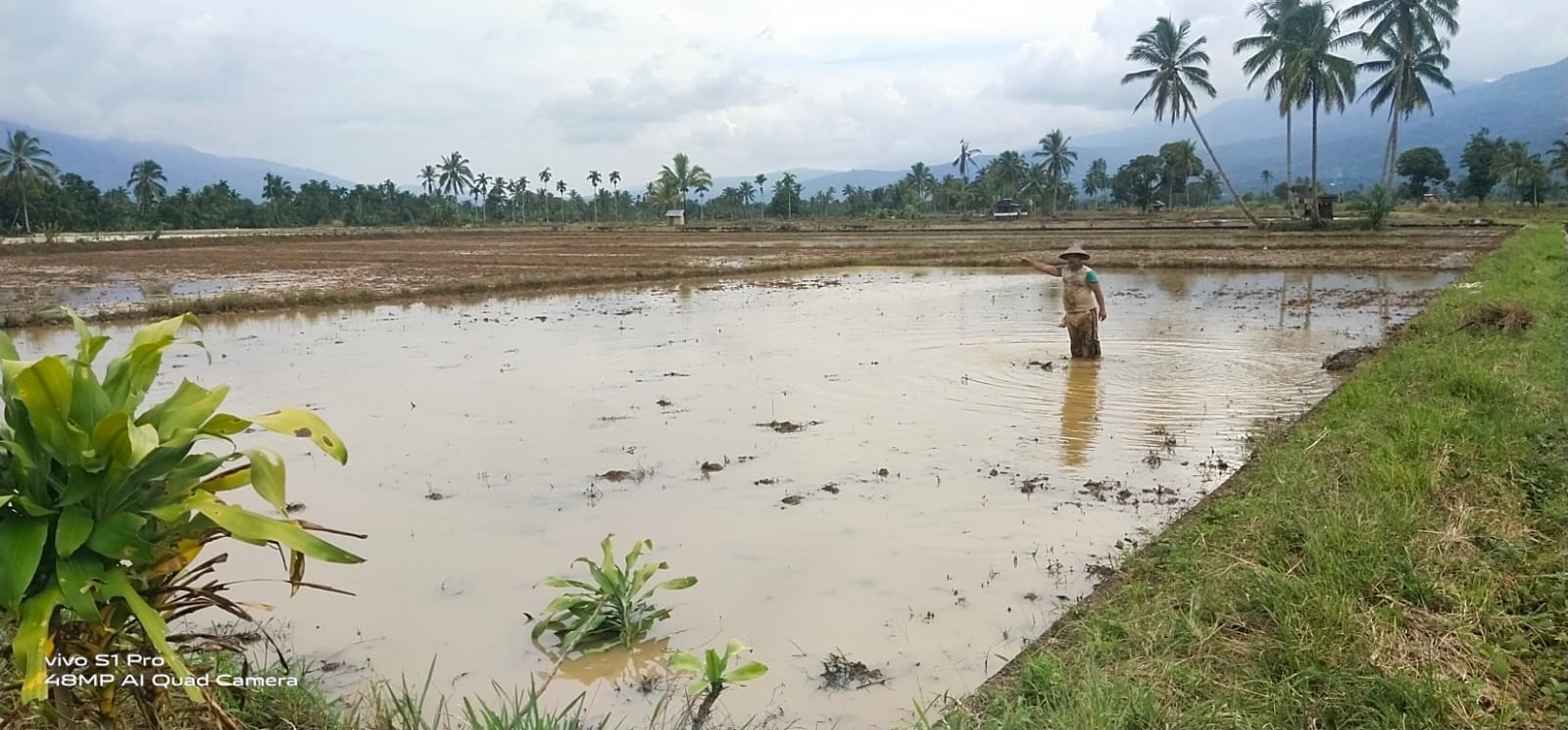 Fokus Pembangunan, DAK Pertanian 2023 Diusul Rp 56 Miliar