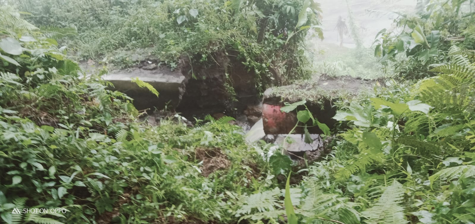 Puluhan Hektar Sawah di Tertik Terancam Kekeringan