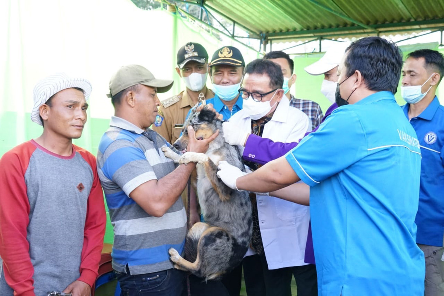 Eliminasi Anjing Liar Terhalang Regulasi