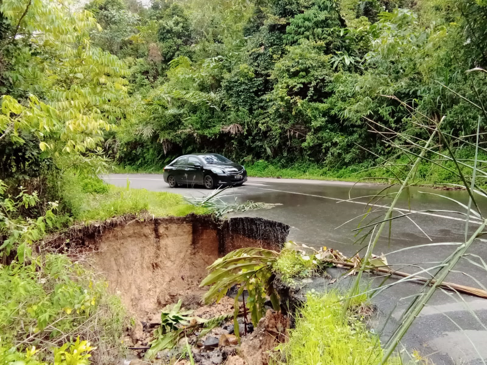 Wabup Desak Pemprov Segera Perbaiki Jalan Rimbo Pengadang