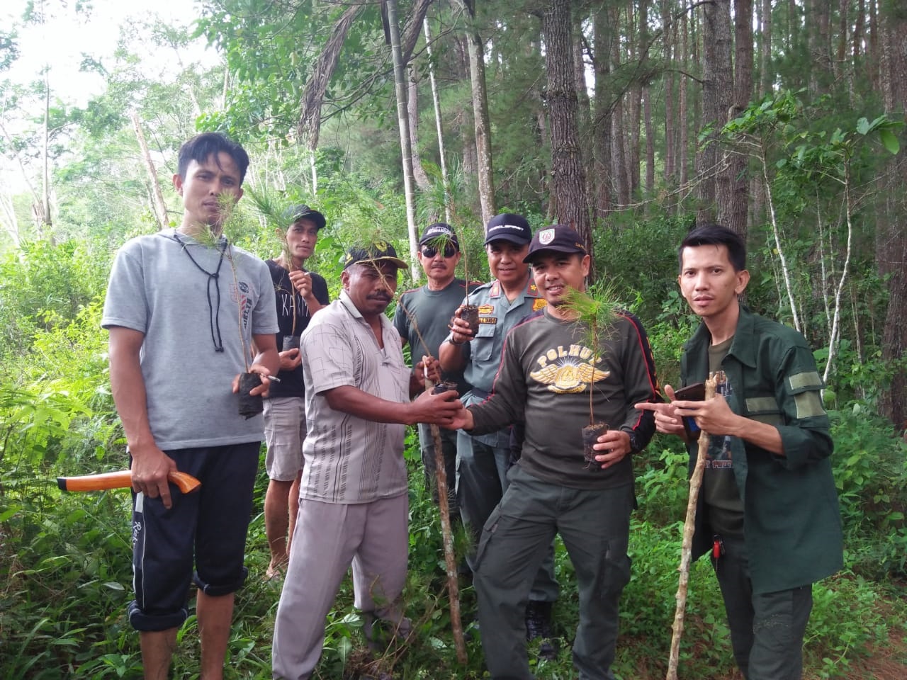 Lewat Koperasi, Warga 3 Desa Manfaatkan Getah Pinus