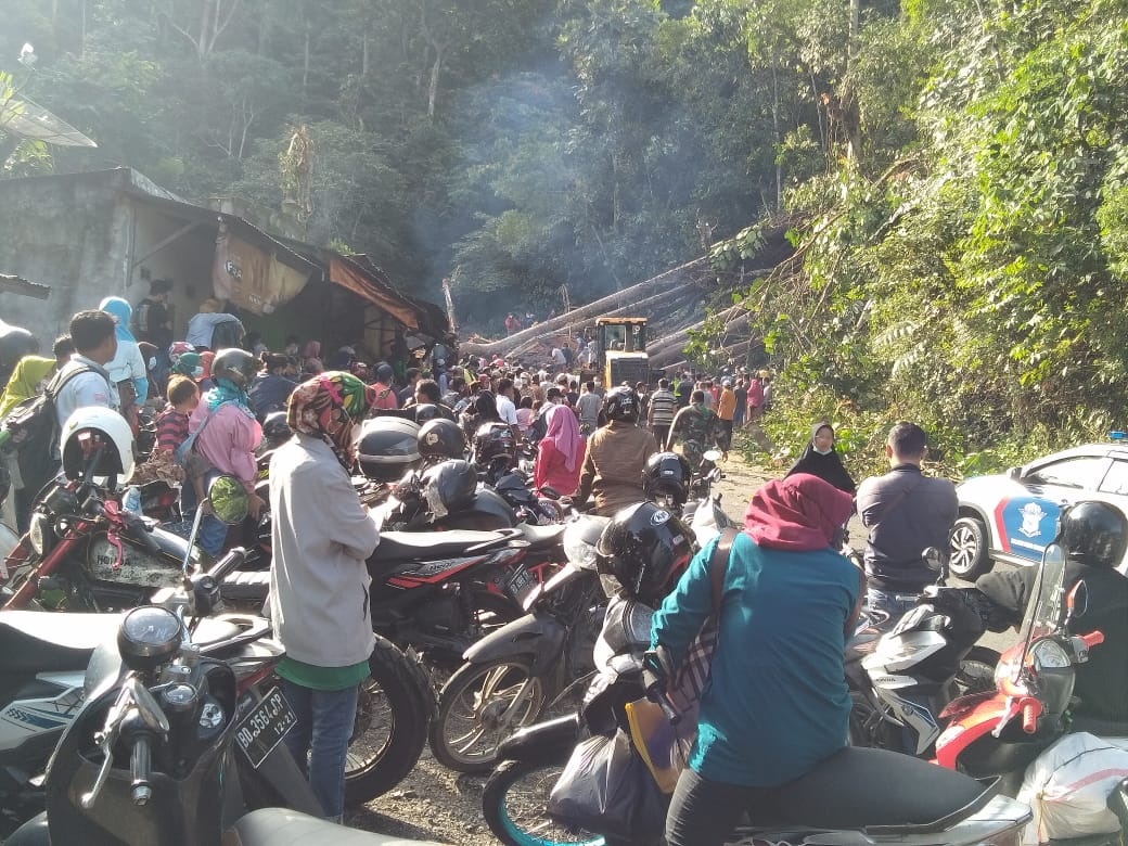 Tebang Pohon di Gunung, BPBD Tunggu DLHK Provinsi