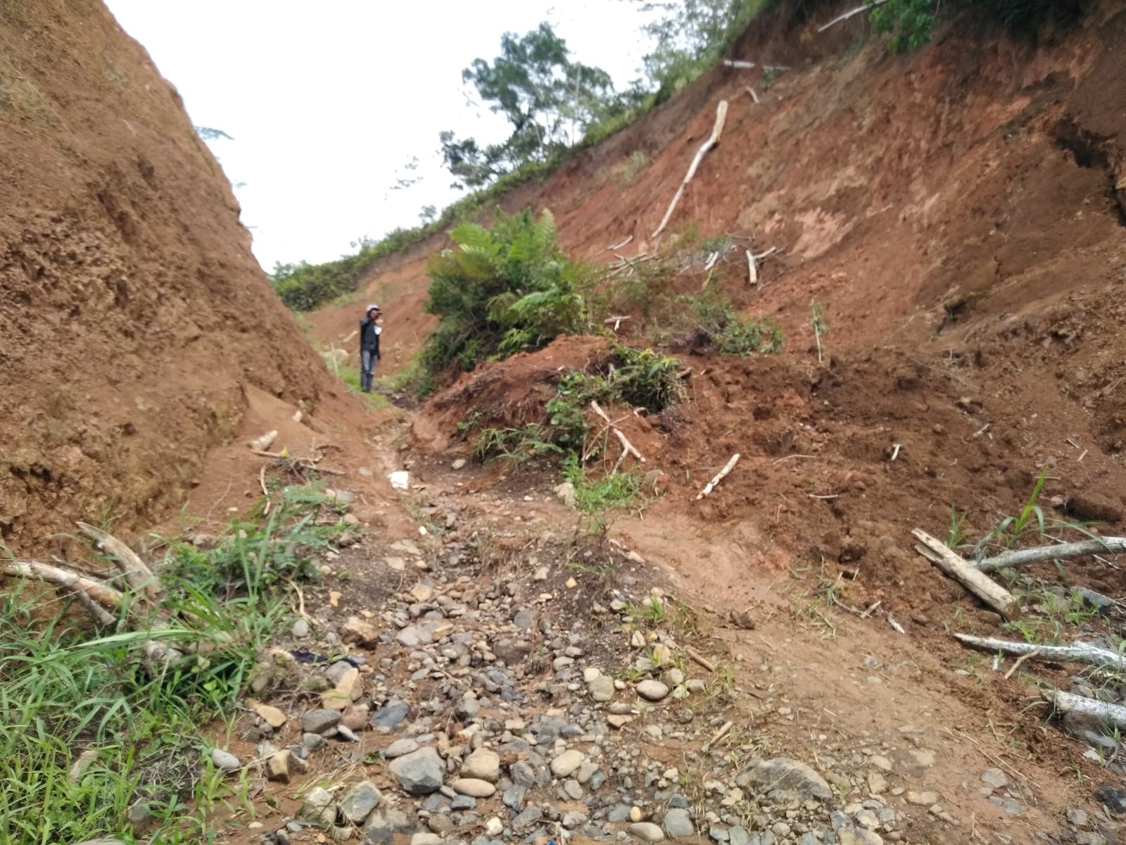 Nasib 3 Proyek Eks SMI Ngambang