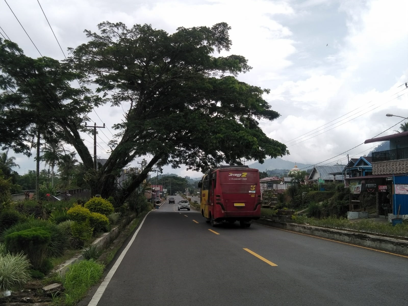 Pohon Besar di Karang Anyar Membahayakan