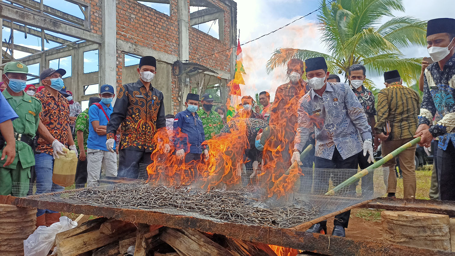 Insentif Ekor Tikus Dipastikan Berlanjut Tahun Ini