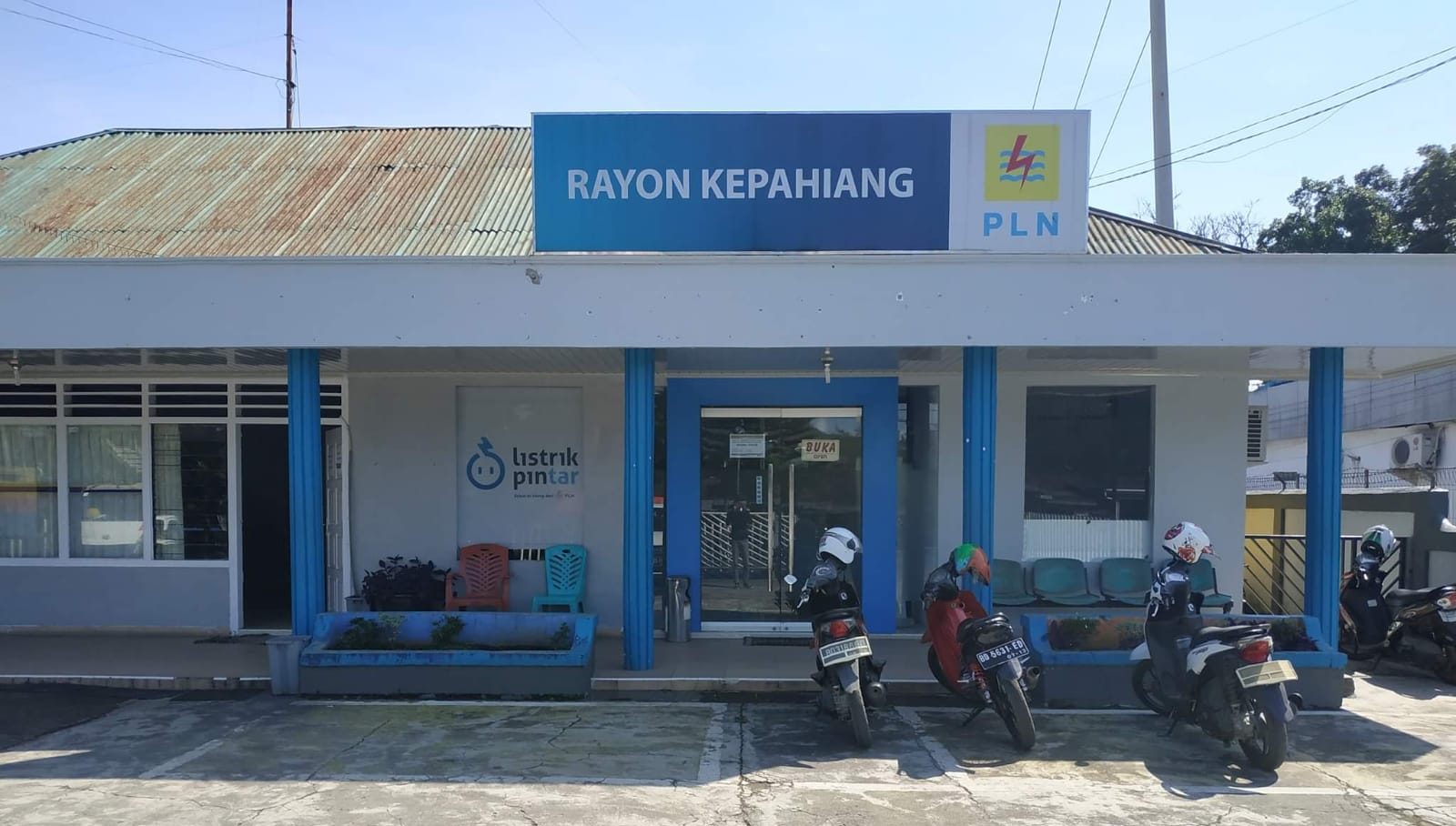 Pohon Besar Jadi PR PLN ULP Kepahiang