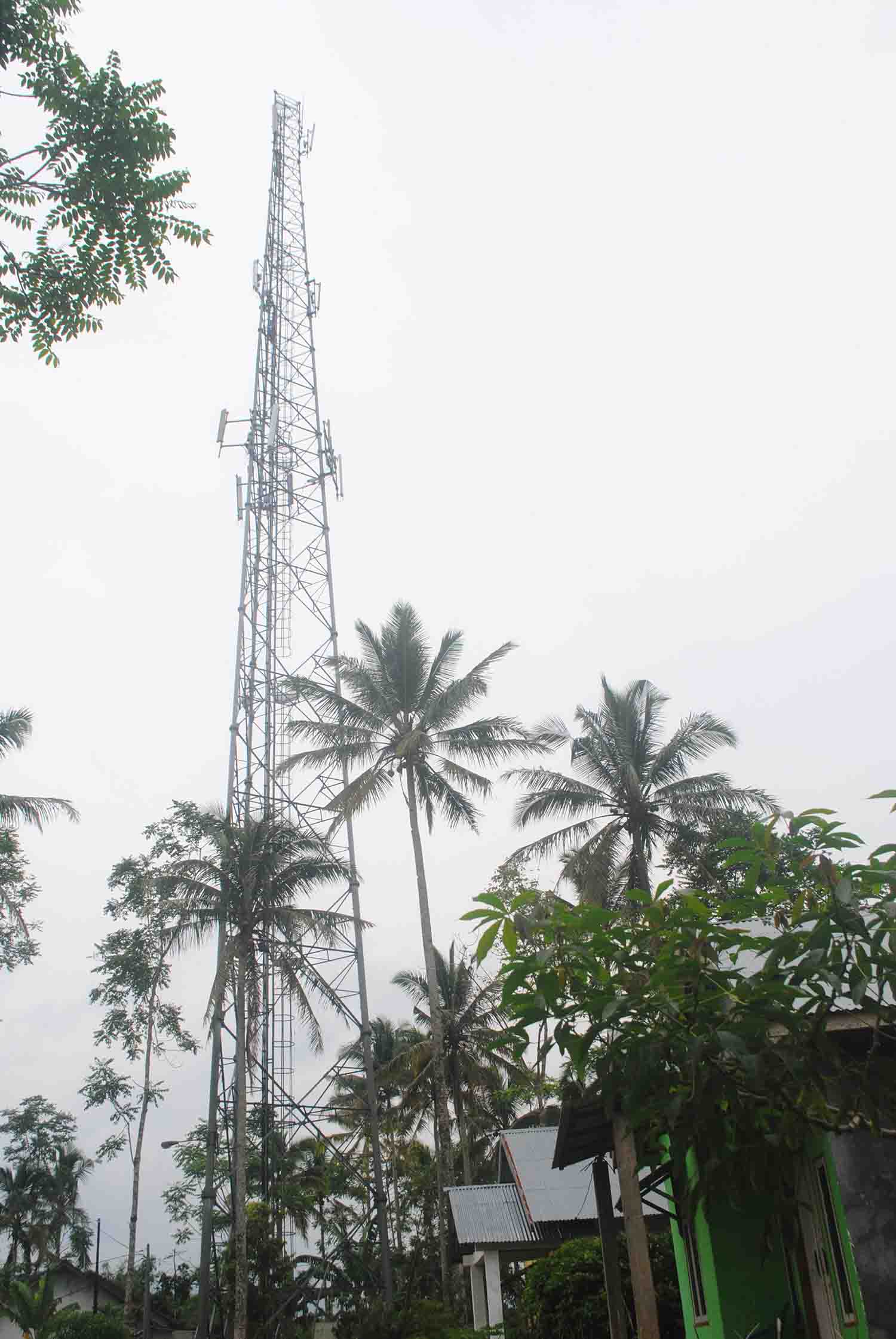 40 Tower Provider Wajib Bayar PBB